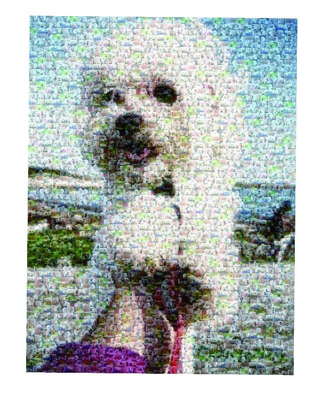 照片蒙太奇/馬賽克(相片紙輸出)